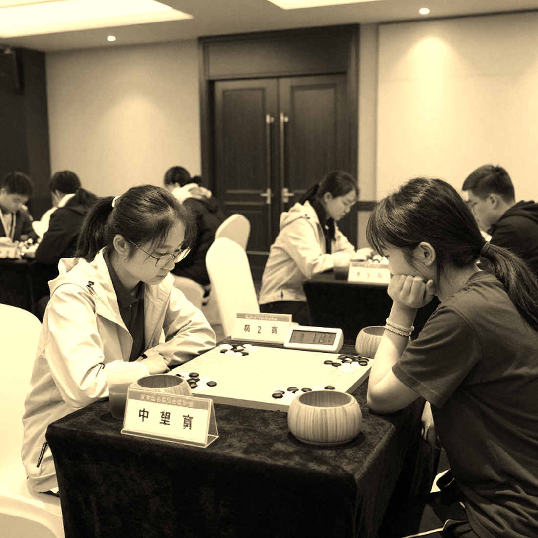 FIDE अध्यक्ष द्वारकोविच हैं, टर्लोव नहीं: गलत हेडलाइन और FRITZ 20 के विज्ञापन का ऑडिट
